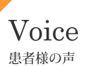 Voice җl̐